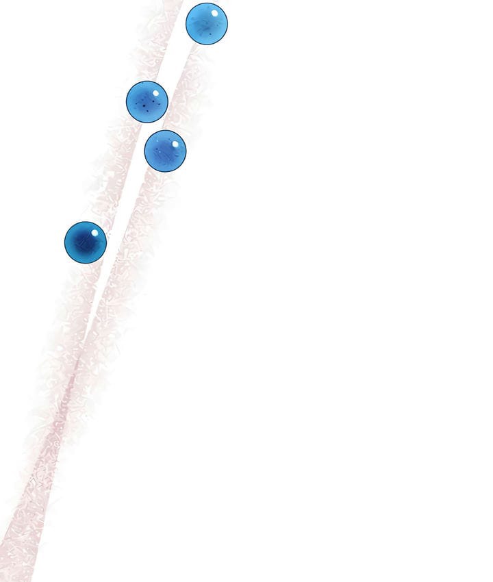 68.jpg